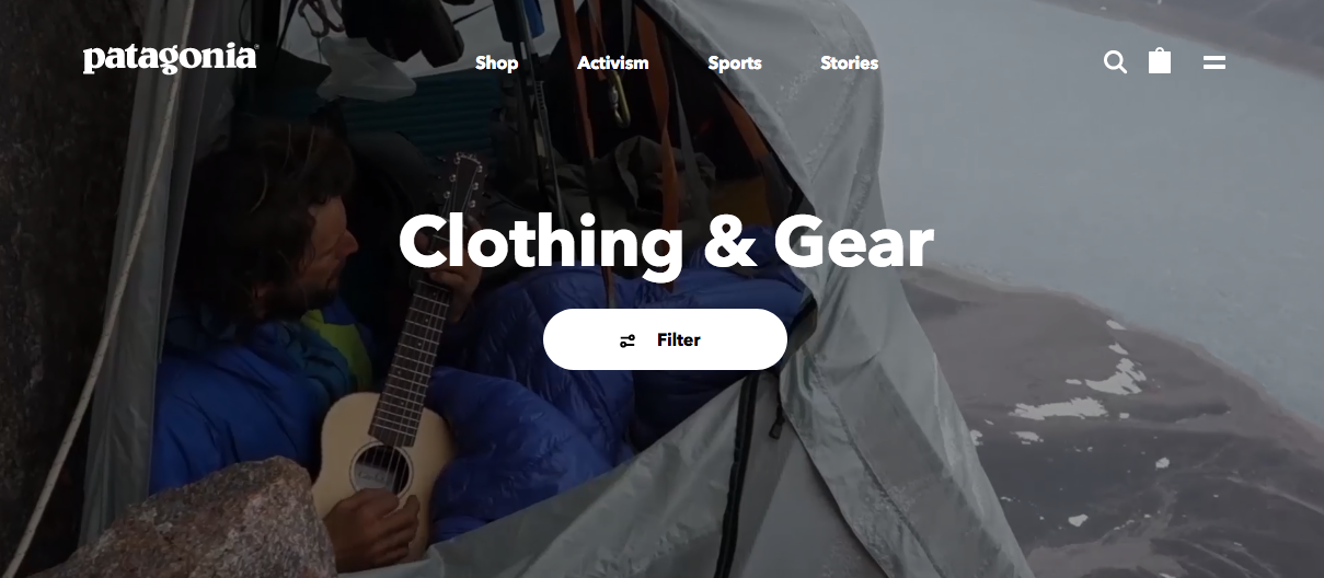 patagonia activism | A.R Marketing House