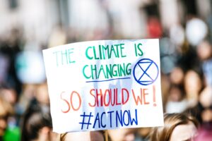 What does environmental illiteracy mean for a company with sustainability goals | A.R. Marketing House