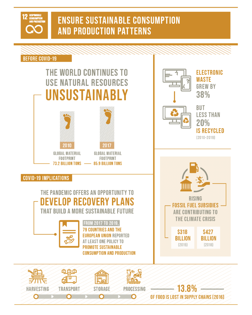 The-Sustainable-Development-Goals-Report-2020_Page_19