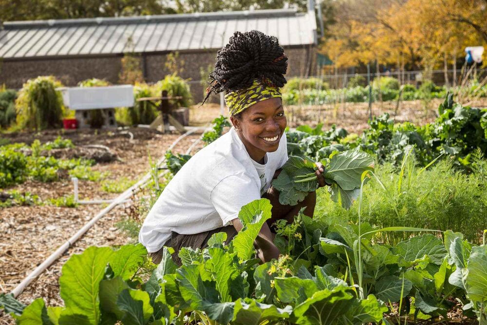 Black Owned Farms in the U.S. | A.R. Marketing House
