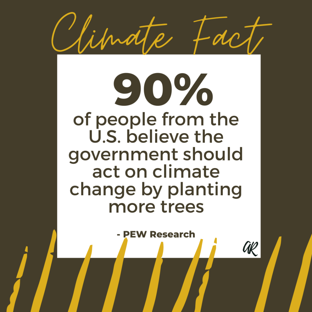 90% of people from the U.S. believe the government should act on climate change by planting more trees | A.R. Marketing House