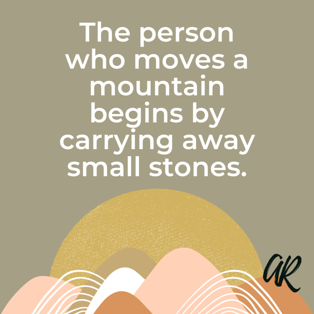 The person who moves a mountain begins by carrying away small stones.