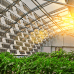 A New Era of Agriculture: How Microgrids Are Powering Indoor Farms | A.R. Environmental Markeitng House