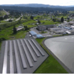 Indigenous Peoples Day _ AR Environmental