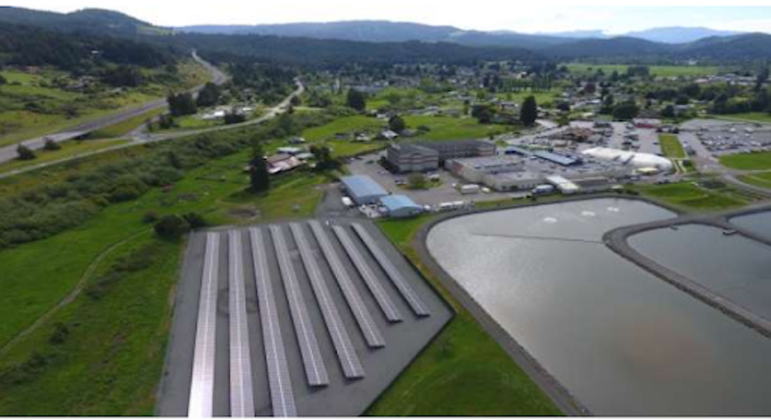 Indigenous Peoples Day _ AR Environmental